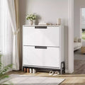 Shoe Storage Cabinet with 2 Flip Drawers - with Metal Legs, Adjustable Shelf, Narrow Shoe Rack Organizer for Entryway, Foyer, Hallway, Living Room
